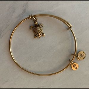 Alex and Ani Turtle Gold Charm Bracelet